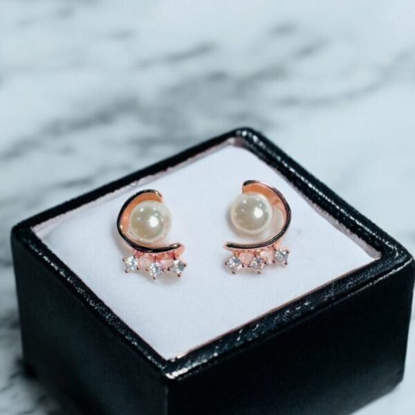 Elegant contempary design earrings